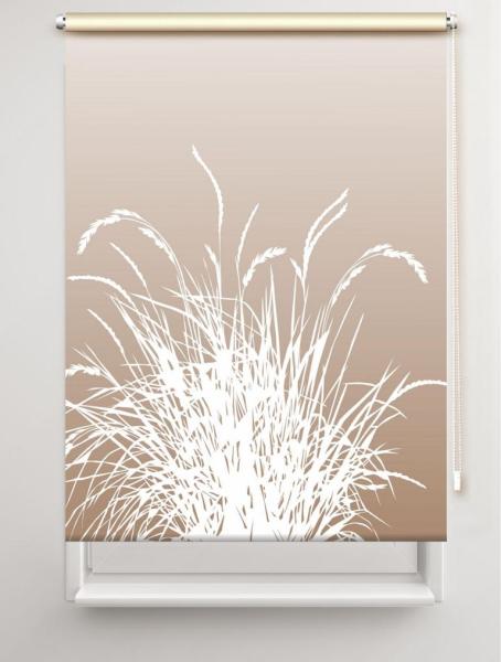 Rollo Reed24 Cappuccino dark  - Sichtschutz Extartiqe